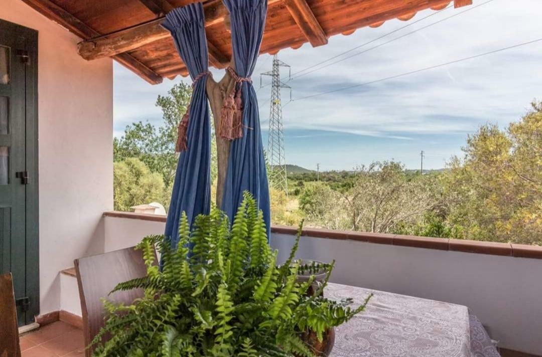 Il Falco Casa Vacanze - Cugnana - Porto Rotondo Exterior foto